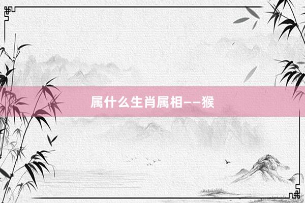 属什么生肖属相——猴